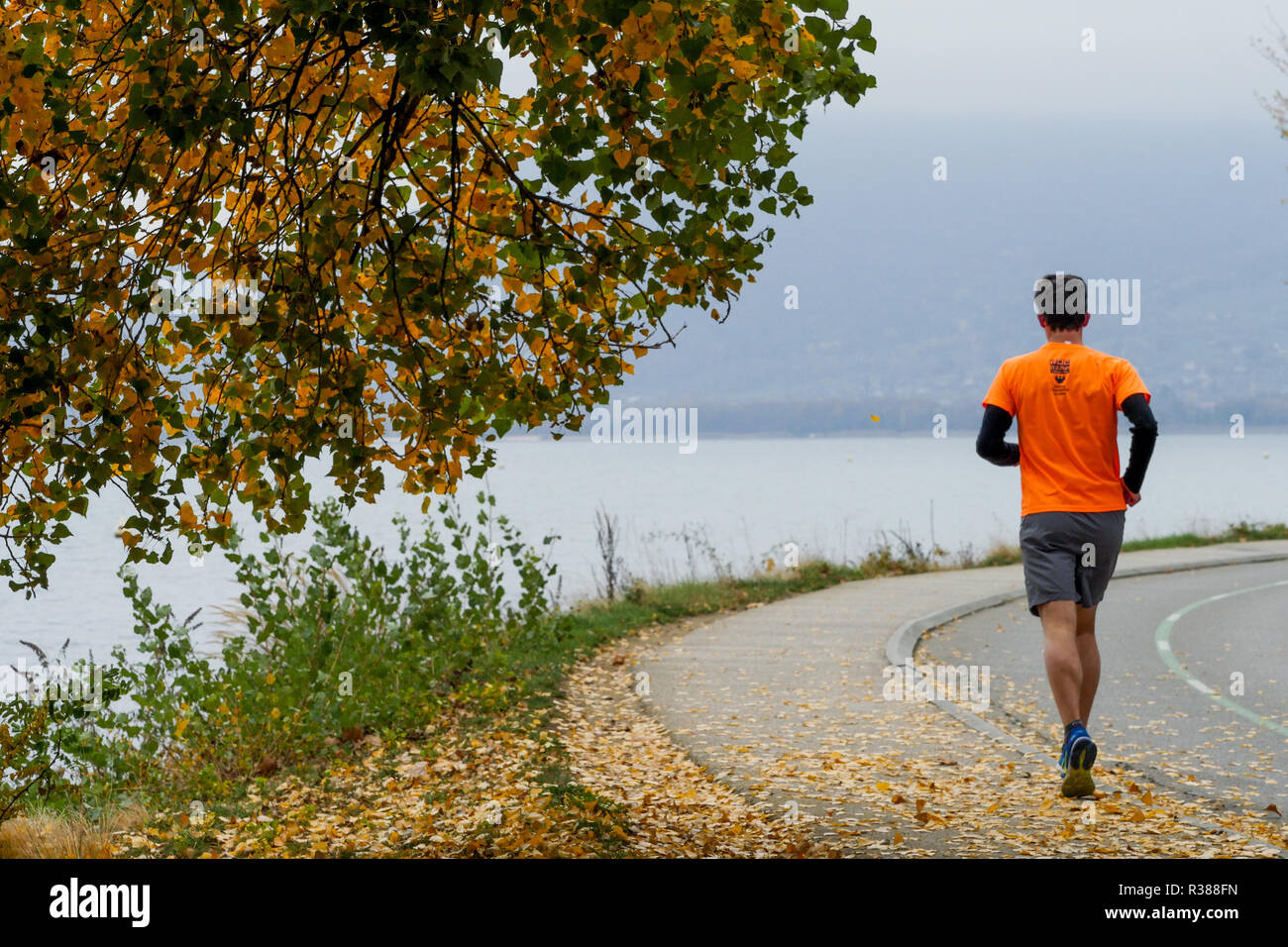 Entlang See von Annecy, Haute-Savoie, Frankreich Stockfoto