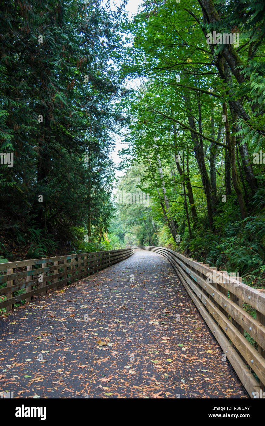 Lange Holzzaun und Brücke im Wald entlang einer Bike Trail Stockfoto