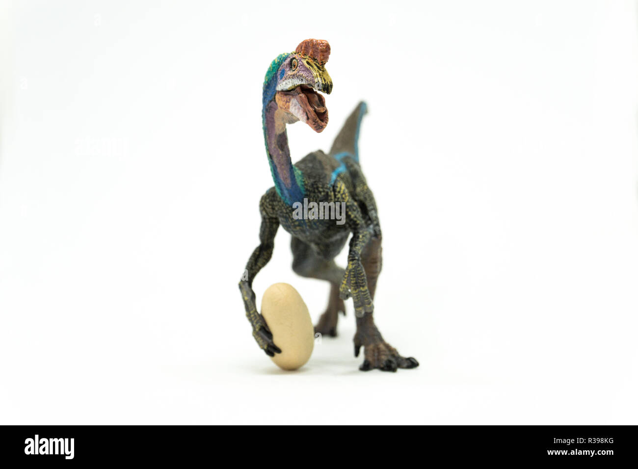 Oviraptor isoliert auf weißem Hintergrund Stockfoto