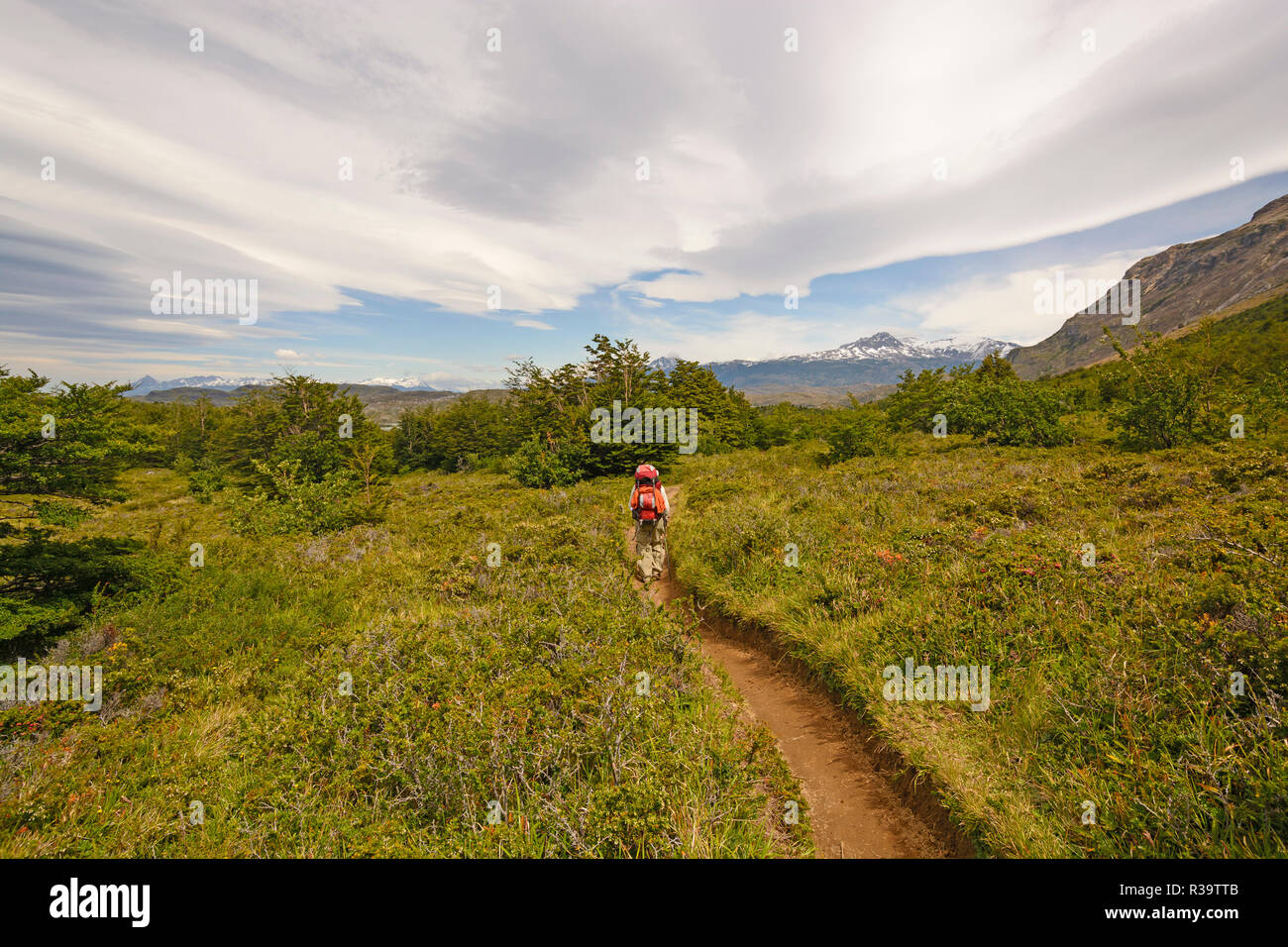 Wandern in das Hochland von Patagonien Torres del Paine in den chilenischen Anden Stockfoto