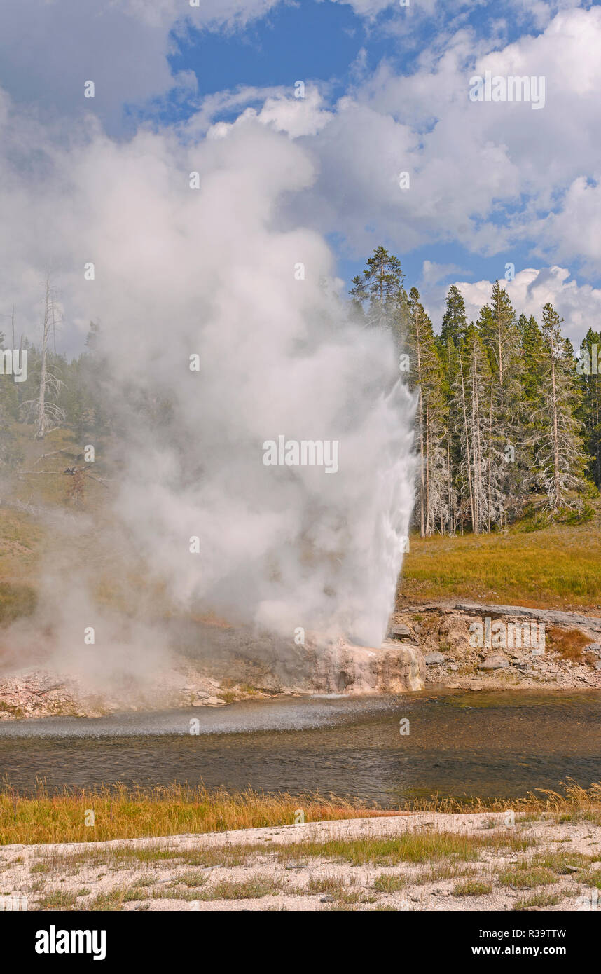 Ausbruch des Riverside Geysir im Yellowstone National Park Stockfoto
