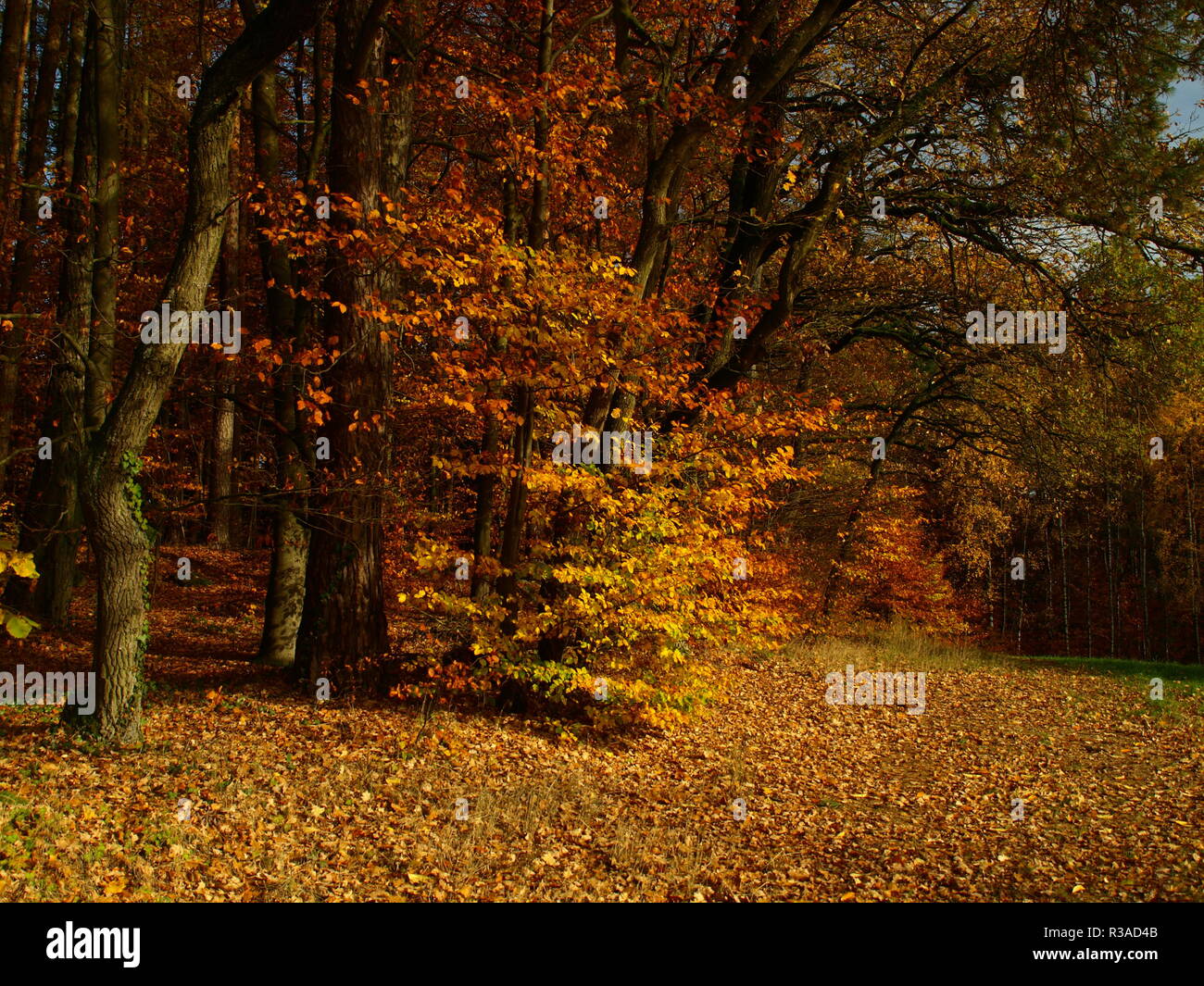 Herbstidylle Stockfotos und -bilder Kaufen - Alamy