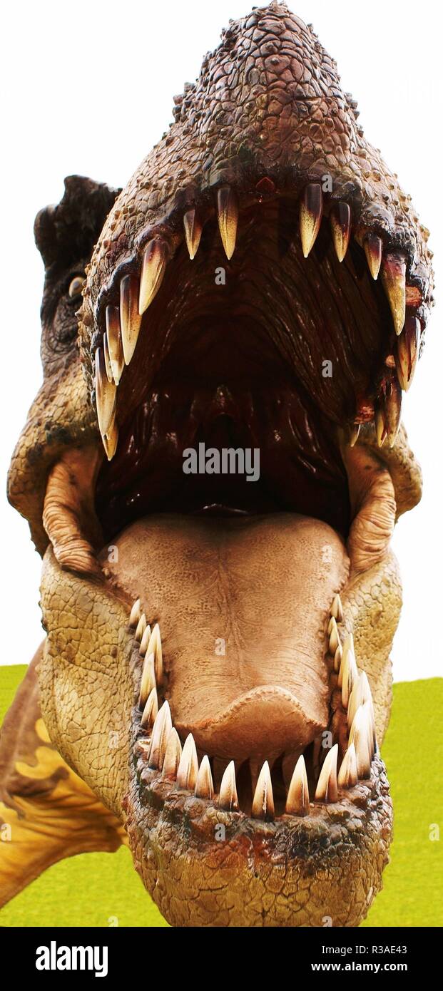 Kopf eines Dinosauriers Stockfoto