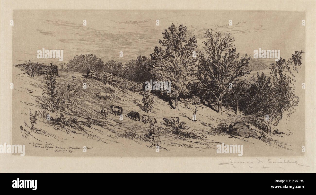 Eine brachliegende Feld. Stand: 1883. Abmessungen: Platte: 14,7 x 30 cm (5 13/16 x 11 13/16 in.) Blatt: 26,8 x 39 cm (10 9/16 x 15 3/8 in.). Medium: Radierung in Schwarz auf Webte Papier. Museum: Nationalgalerie, Washington DC. Autor: James David Smillie. Stockfoto