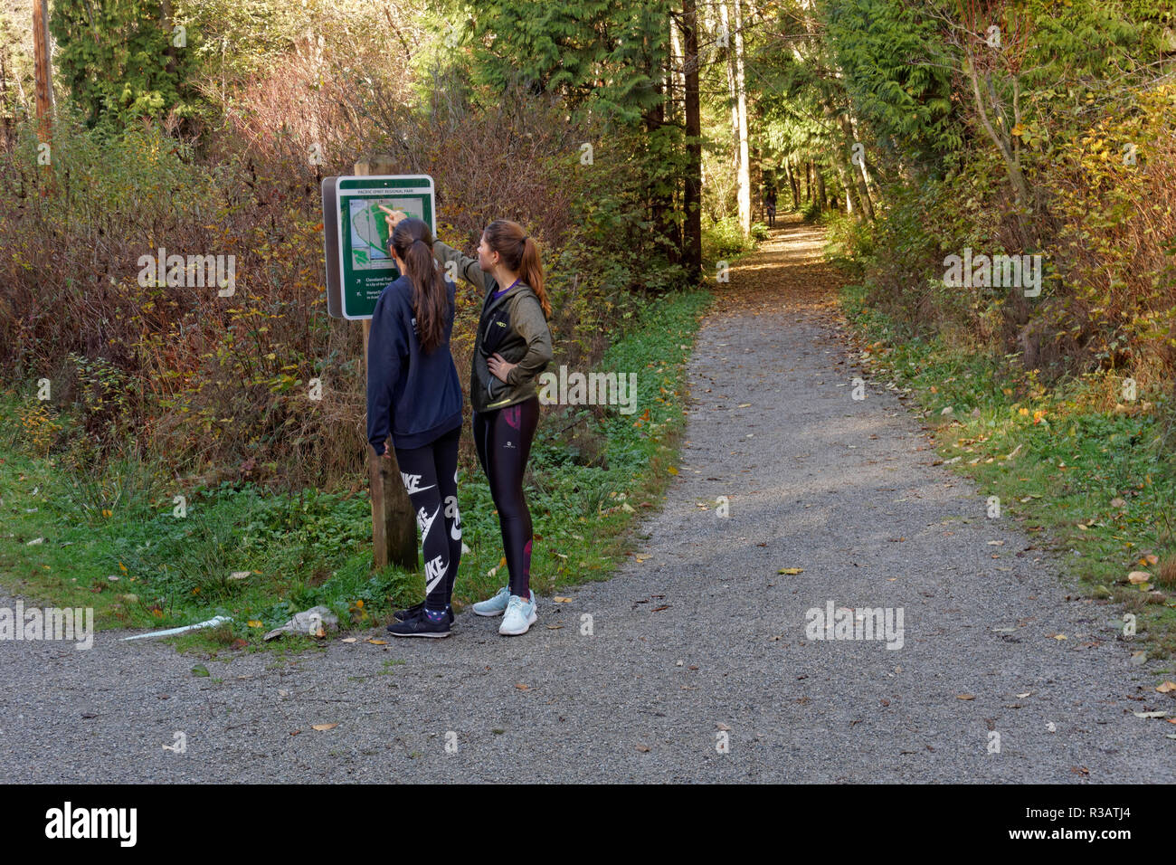 Zwei junge Frauen, die Wanderer auf einer Wanderkarte im Pacific Spirit Park und Naturreservat, Vancouver, BC, Kanada Stockfoto