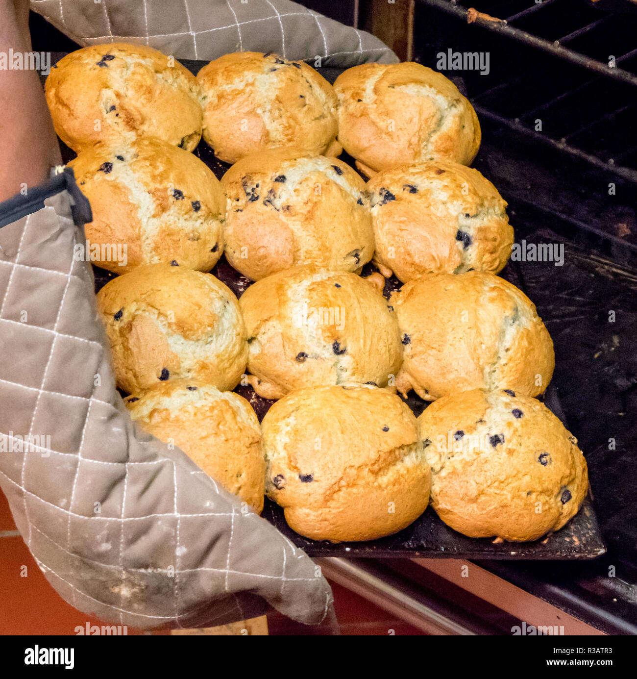 Vor Ort im Besitz Restaurant backt hausgemachte Chocolate Chip Muffins für den Nachtisch in Deli Stockfoto