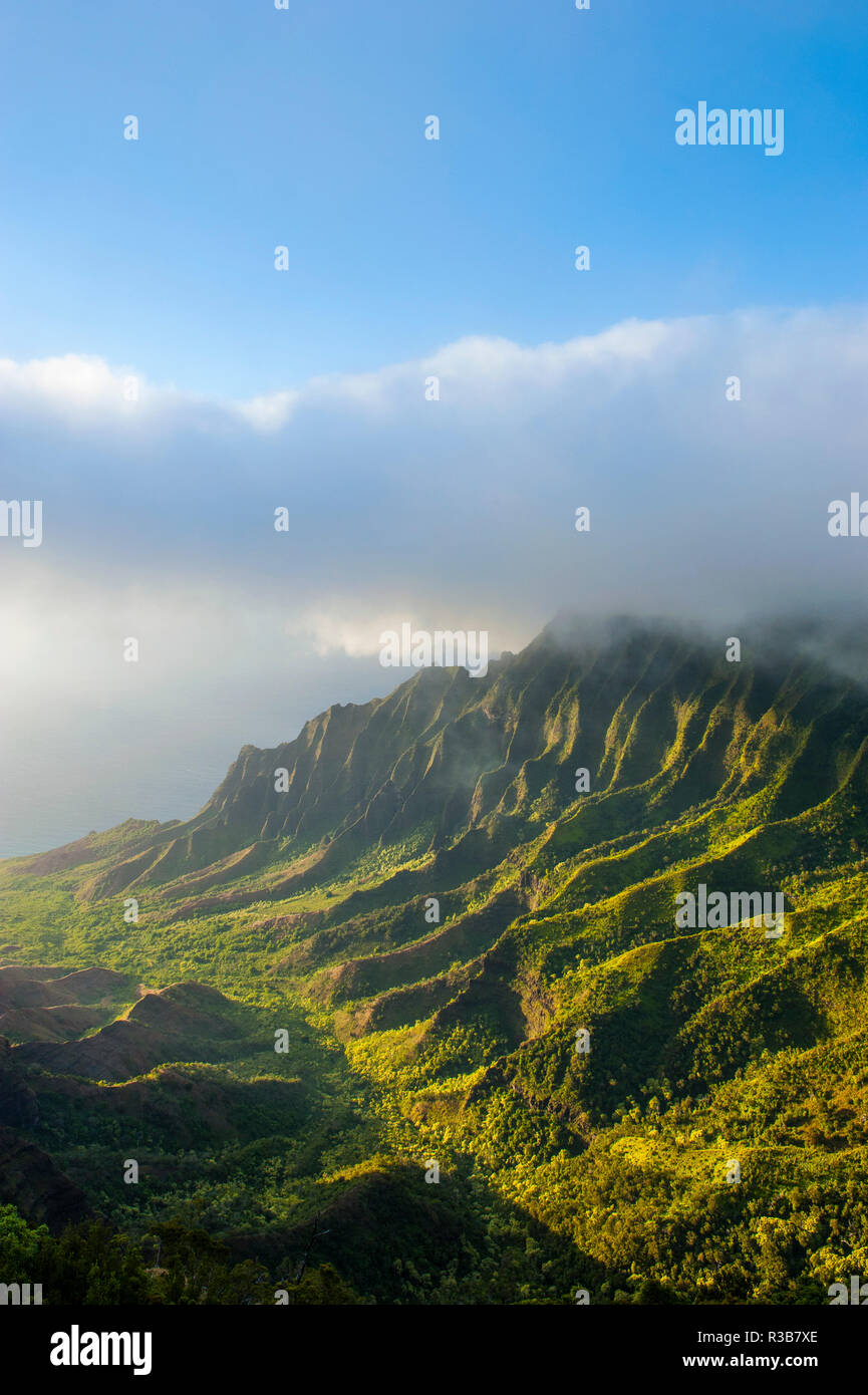 Napali Küste mit grünen Bergen aus dem kalalau Lookout gesehen, Nā Pali Coast State Park, Kauai, Hawaii, USA Stockfoto