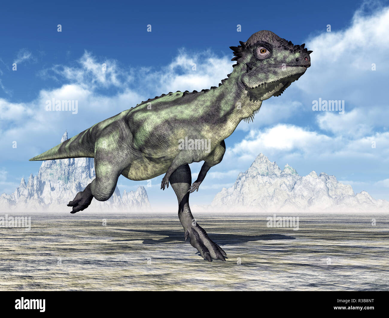 Pachycephalosaurus dinosaur Fotos und Bildmaterial in hoher Auflösung