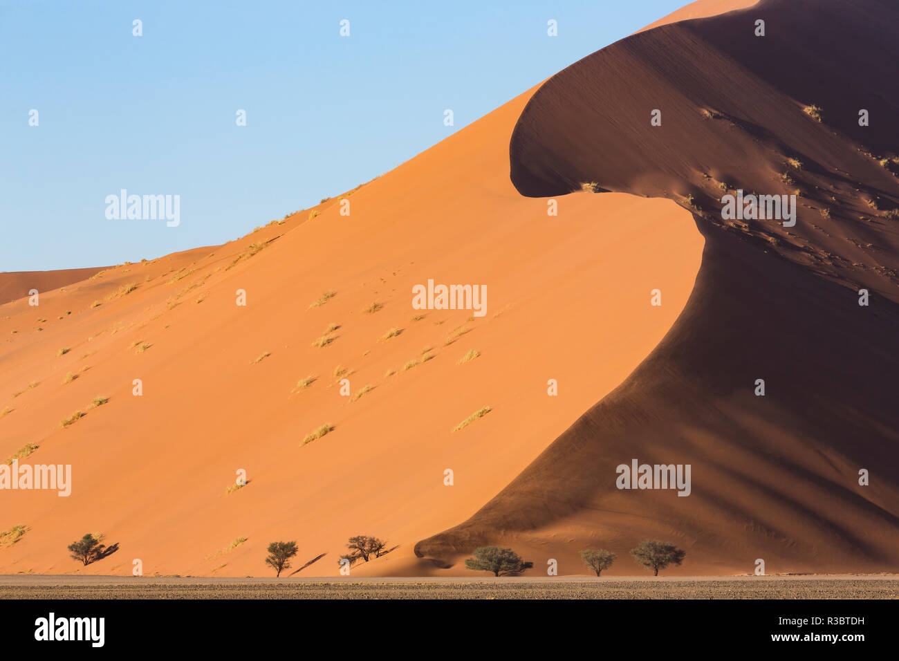 Wind modelliert, die turmhohen Sanddünen von Sossusvlei im Namib-Naukluft-Nationalpark, Namibia. Stockfoto