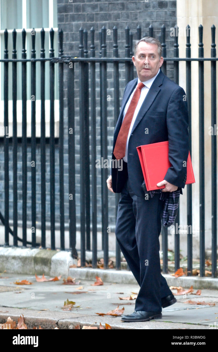 Liam Fox MP (Con: North Somerset) Staatssekretär für internationalen Handel und der Präsident des Board of Trade - Downing Street, November 20. Stockfoto