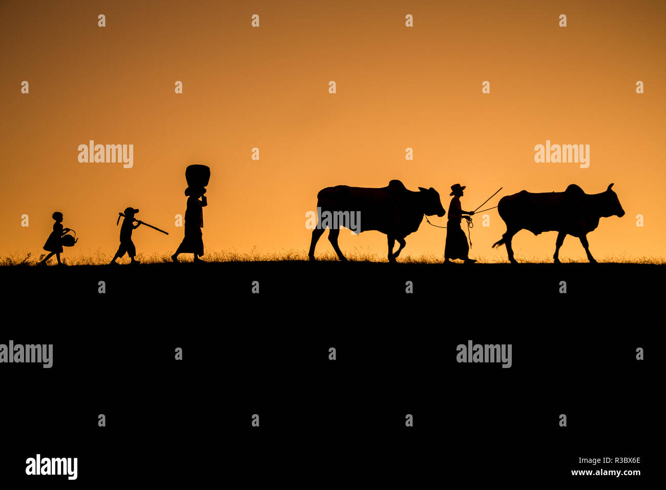 Landwirtschaftliche Familie homeward bound Stockfoto