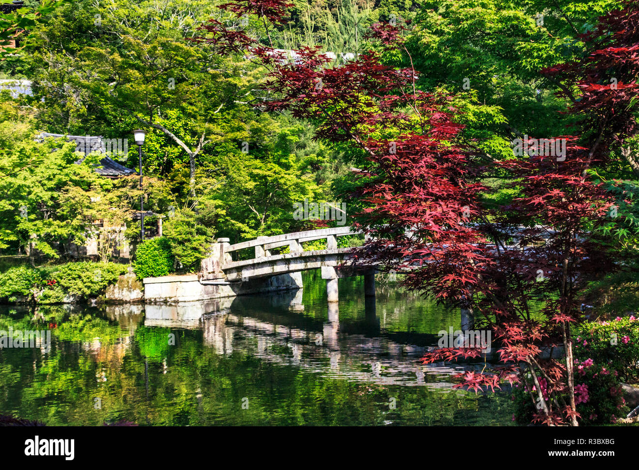 Kyoto, Japan. Tempel Eikando, steinerne Brücke über den Teich zu Tempel Stockfoto