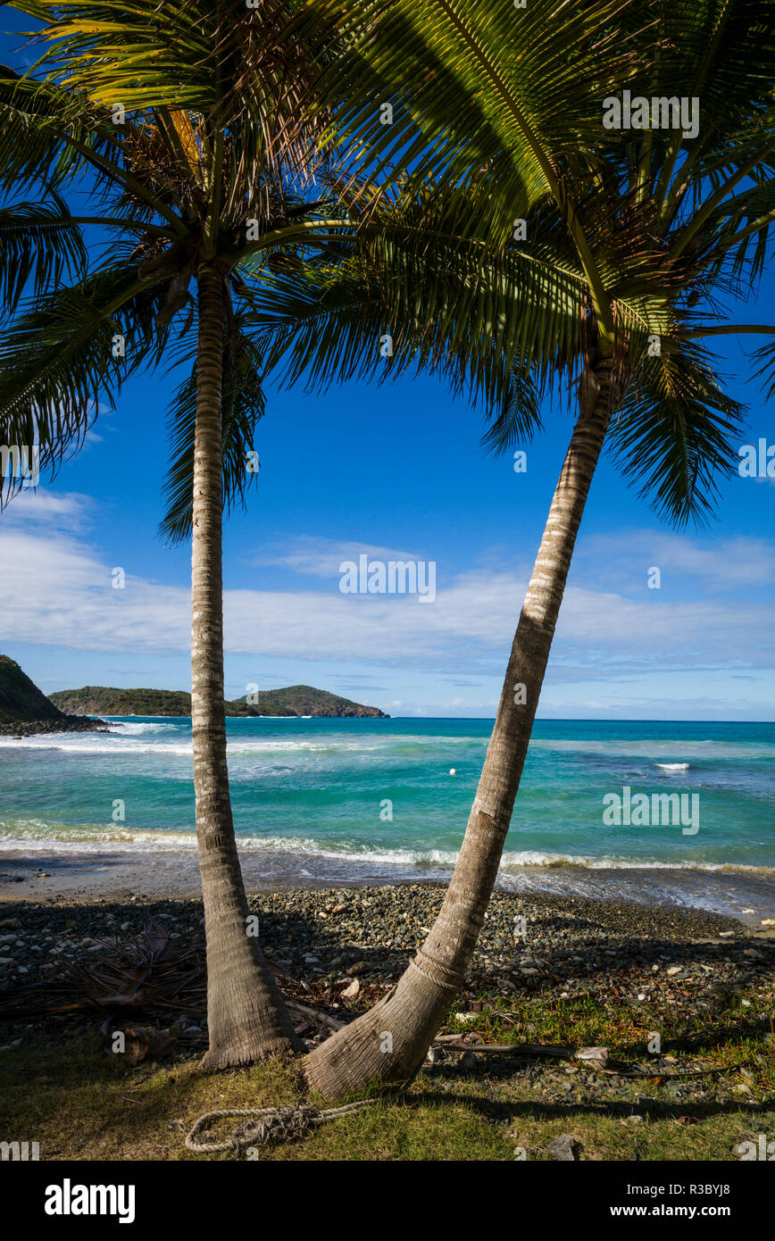 Us Virgin Islands, St. Thomas. Anzeigen von Dorothea Bay Stockfoto