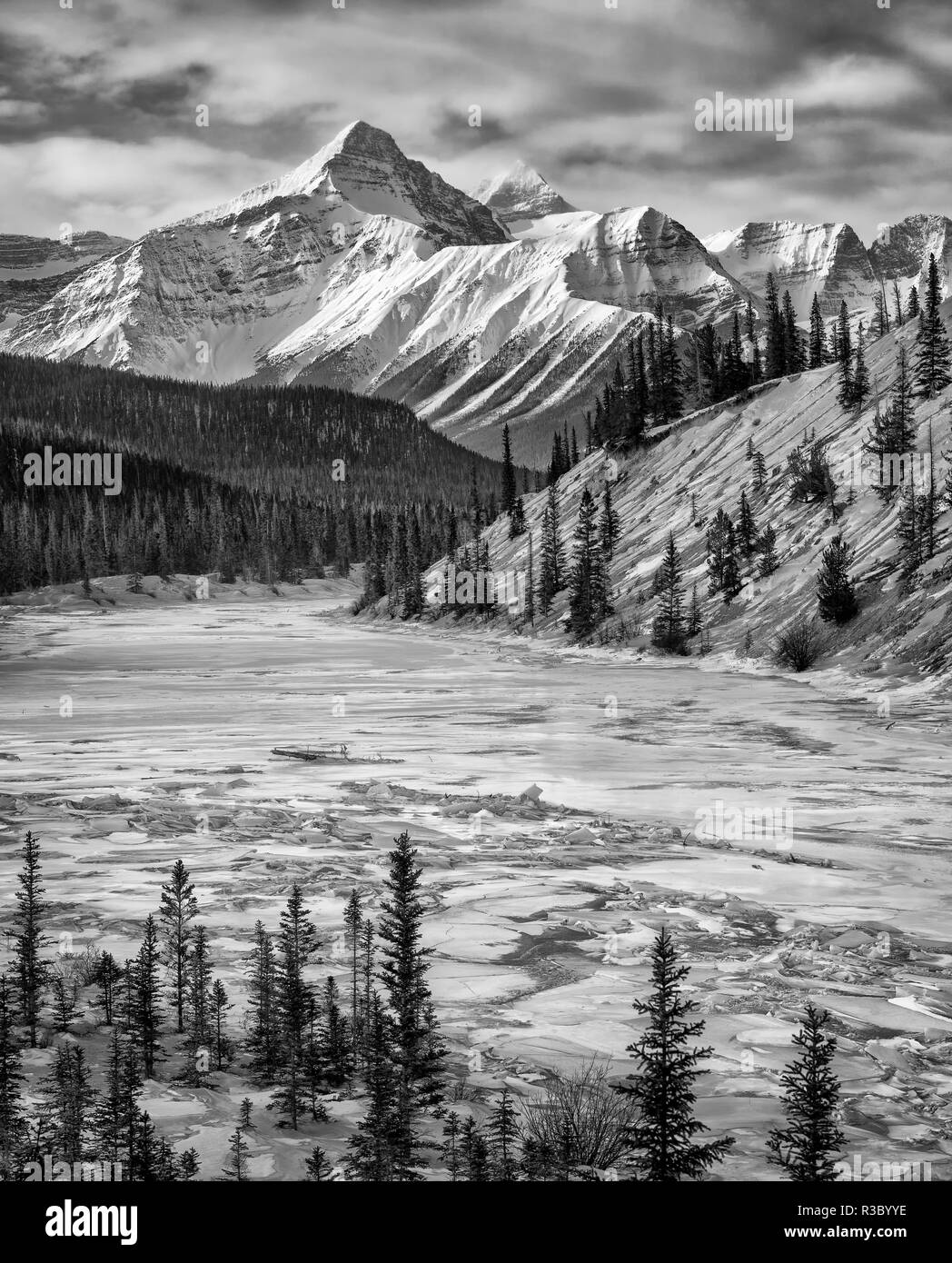 Kanada, Alberta, Banff National Park. Umfrage Peak und das North Saskatchewan River Stockfoto
