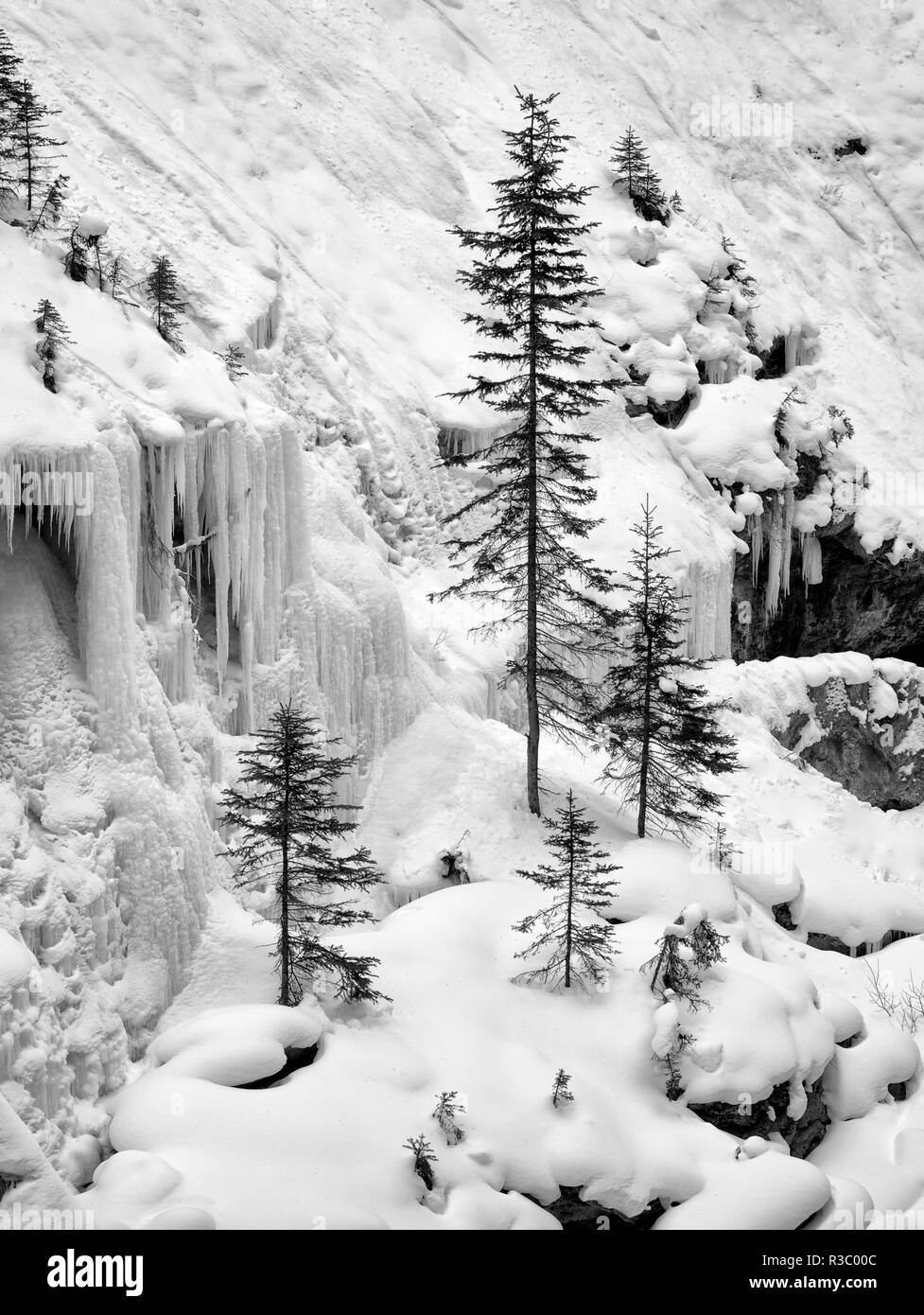 Kanada, Alberta, Banff National Park. Gefrorene Wasserfälle in der Johnston Canyon Stockfoto