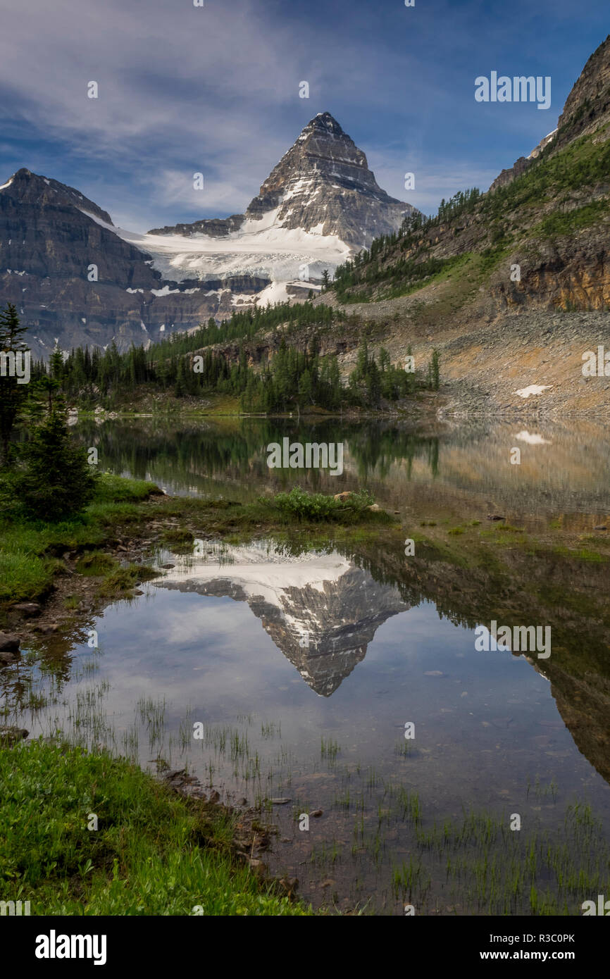 Mount Assiniboine Reflexion, Kanada Stockfoto