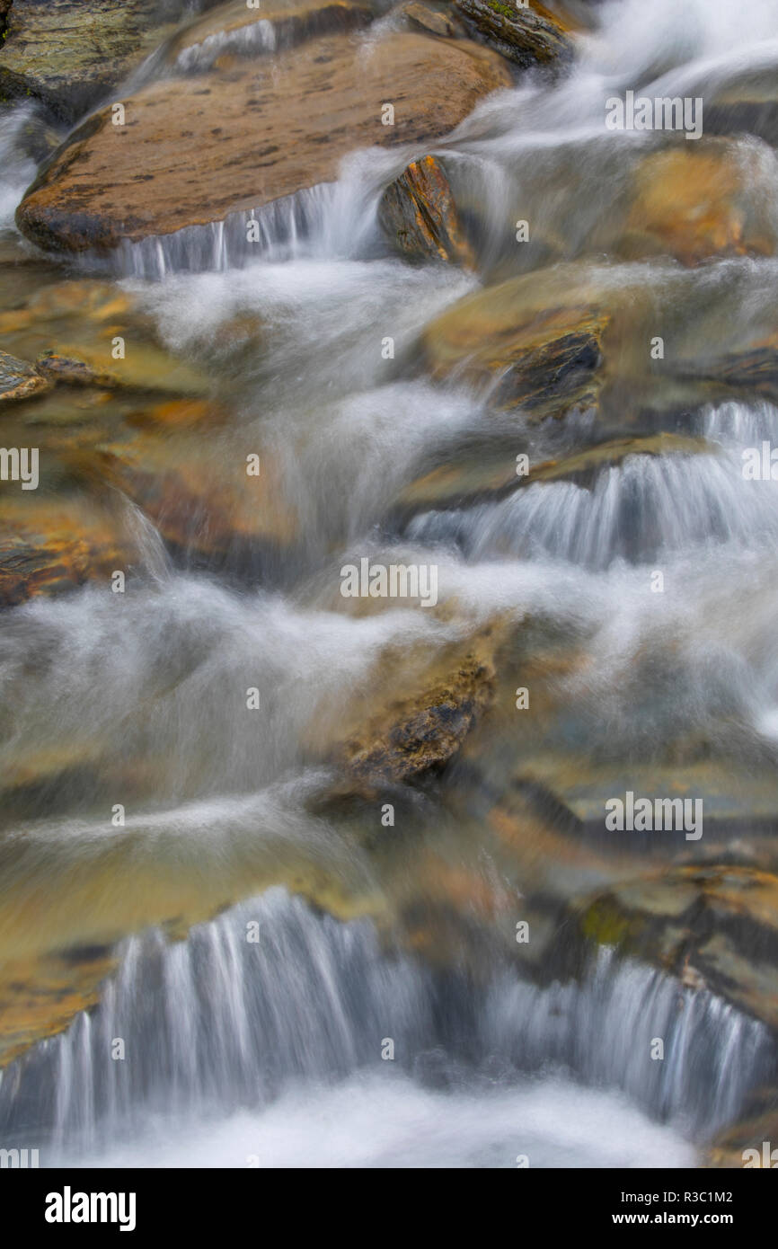 Kanada, British Columbia, East Kootenay Mountains. Cascading stream. Stockfoto