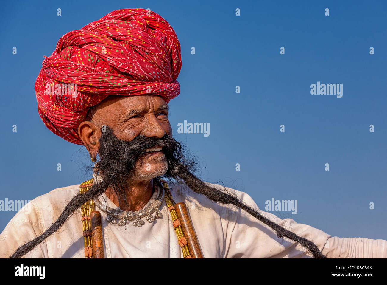 Portrait eines älteren Mannes aus Rajasthan mit langem Bart und Turban, Pushkar, Rajasthan, Indien Stockfoto