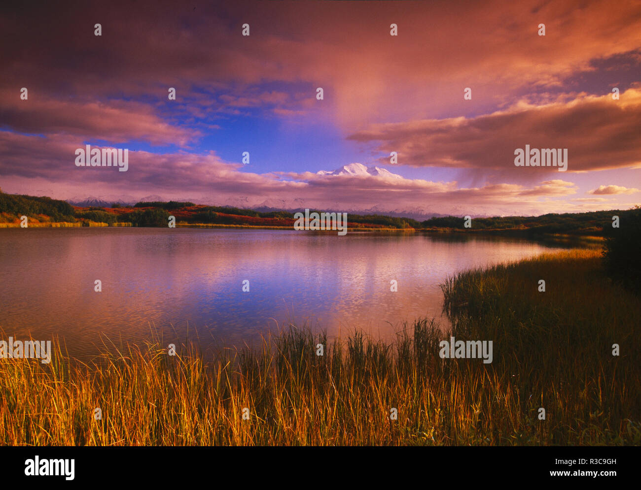 Reflexion Teich, Mt. McKinley, Denali National Park, Alaska, Herbst Farben Stockfoto