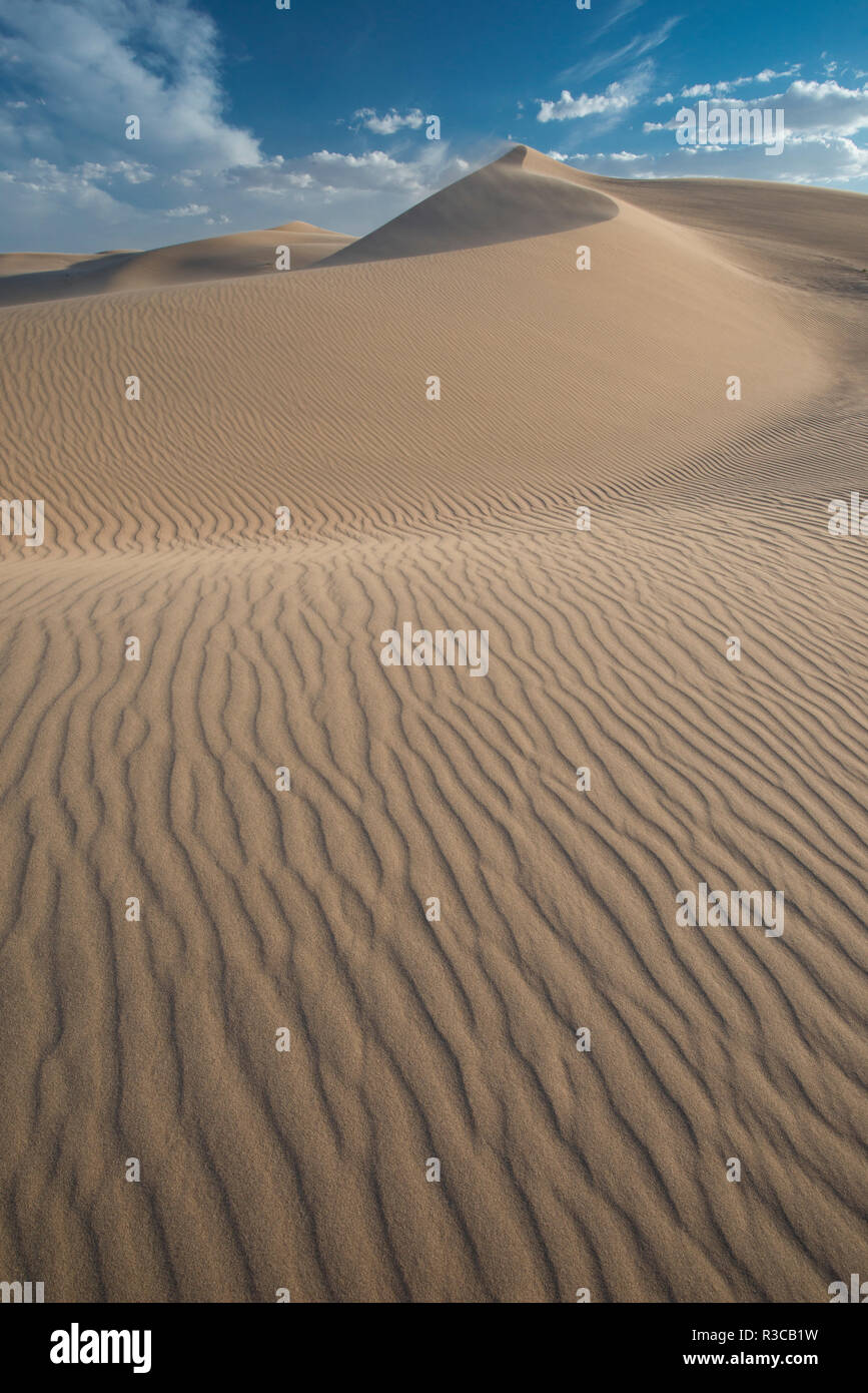 USA, Mojave Trails National Monument, Kalifornien. Windblown Sand Dune und Wolken. Stockfoto