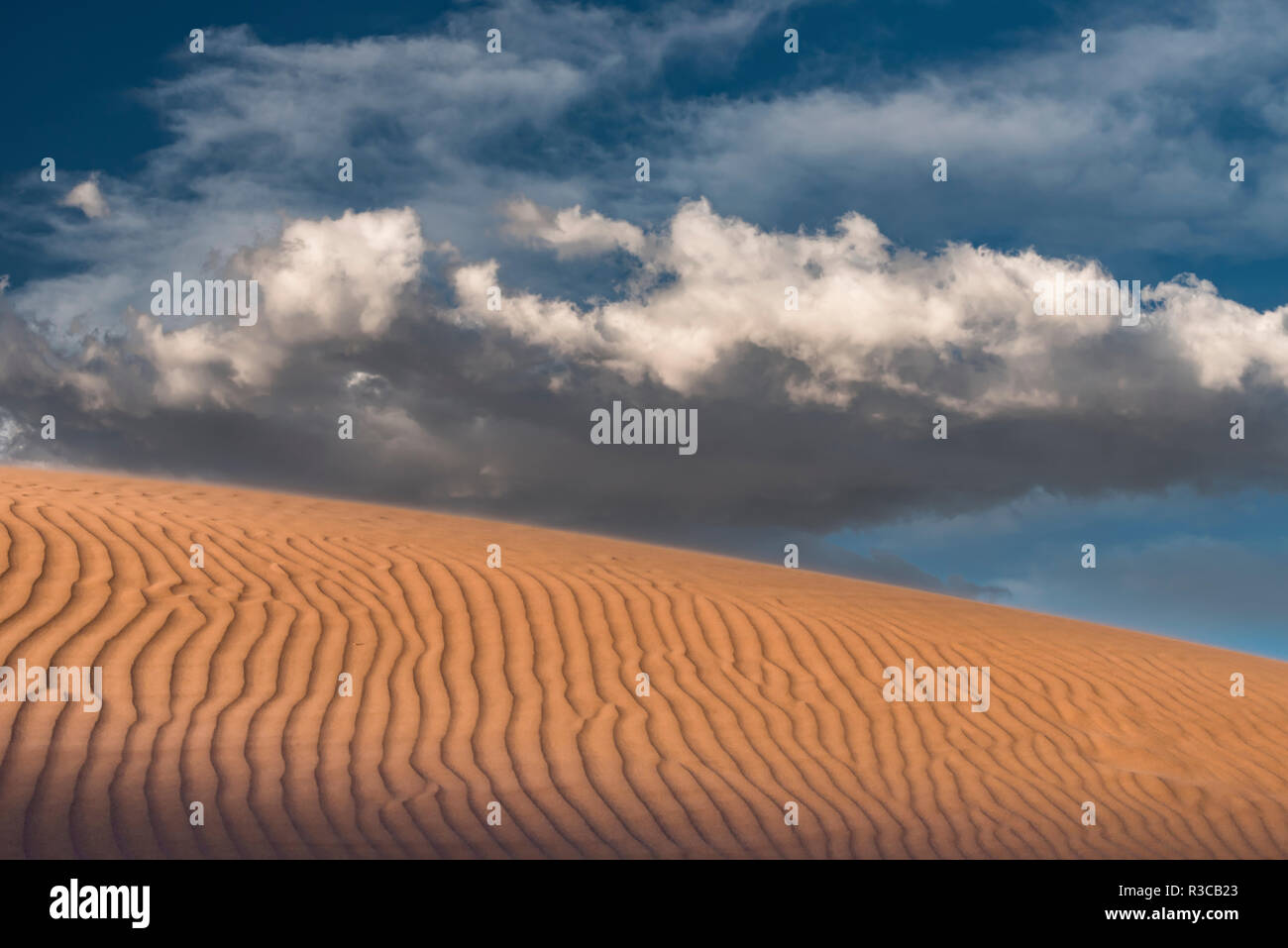 USA, Mojave Trails National Monument, Kalifornien. Windblown Sand Dune und Wolken. Stockfoto