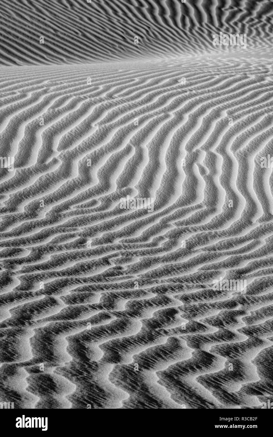 USA, Mojave Trails National Monument, Kalifornien. Schwarz-weiß Bild von Windblown Sand dune. Stockfoto