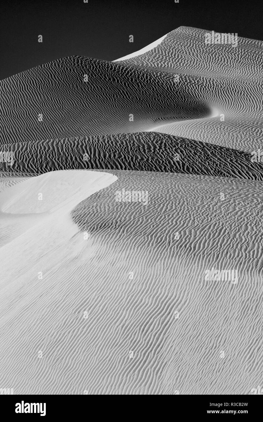 USA, Mojave Trails National Monument, Kalifornien. Schwarz-weiß Bild von Windblown Sand dune. Stockfoto