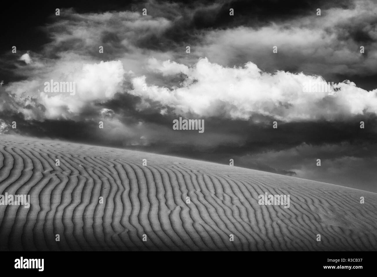 USA, Mojave Trails National Monument, Kalifornien. Schwarz-weiß Bild von Windblown Sand Dune und Wolken. Stockfoto
