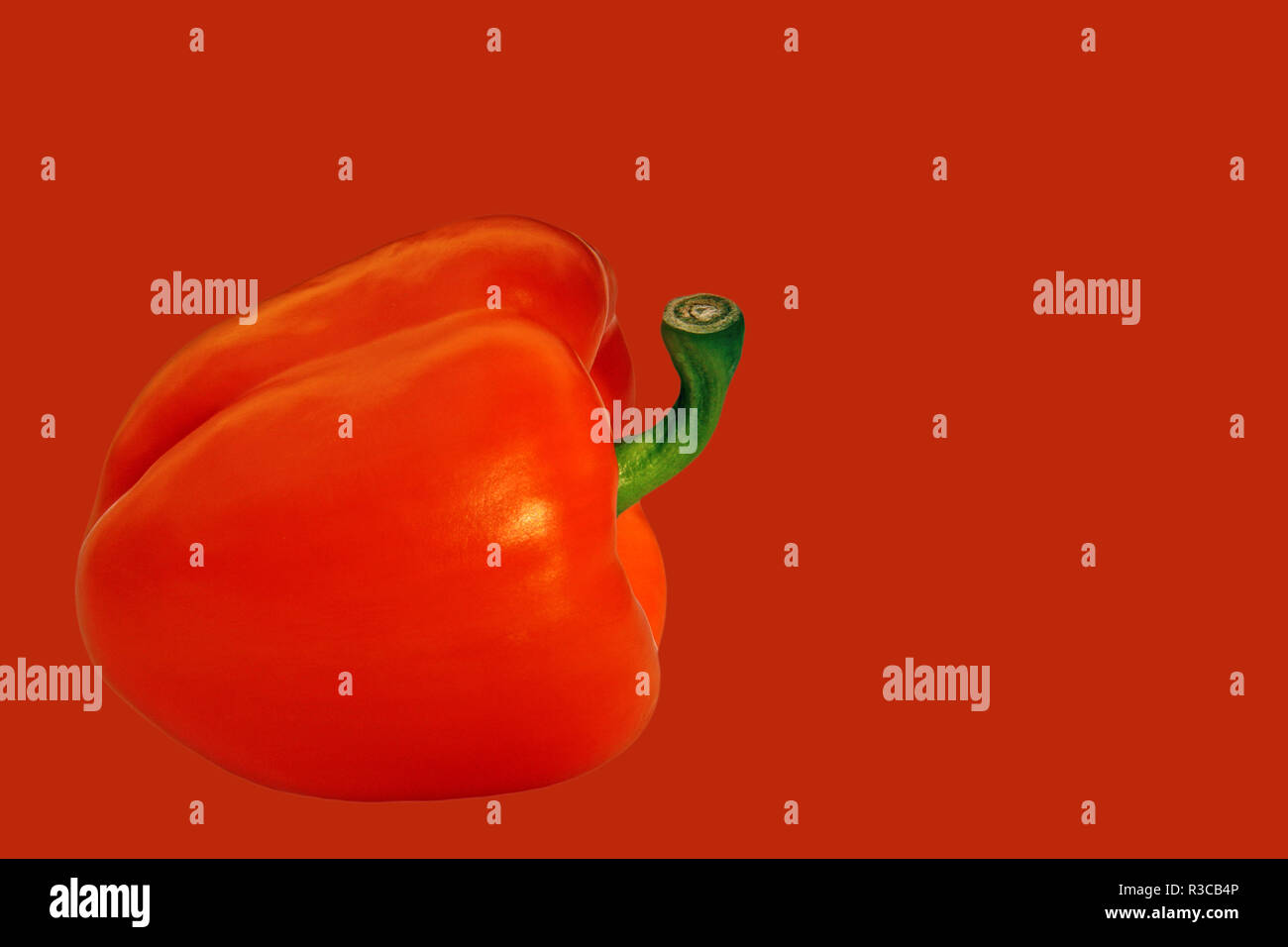 Red Pepper gegen roter Hintergrund Stockfoto