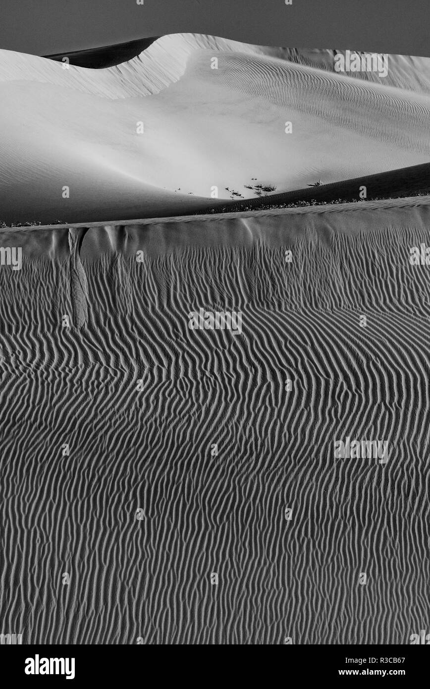USA, Kalifornien. Schwarz-weiß Bild von Windblown Sand dune Stockfoto