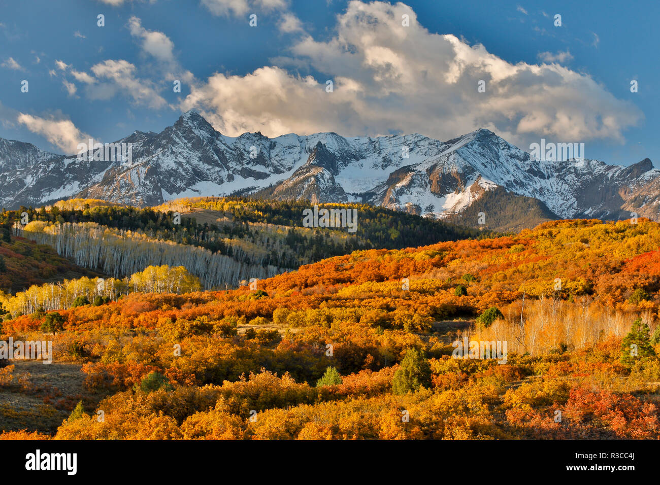 San Juan Berge vom Dallas Divide, morgen Herbst Licht auf Eiche und Aspen, Colorado. Stockfoto