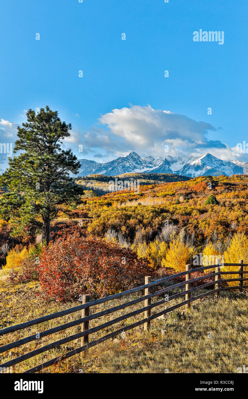 USA, Colorado, Ridgway. Zaun entlang der Farben des Herbstes und Espen in Gold Stockfoto