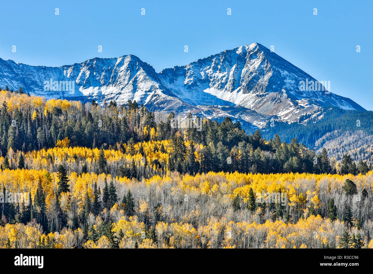 USA, Colorado, Ridgway. Herbst Farben markieren San Juan Berge Stockfoto