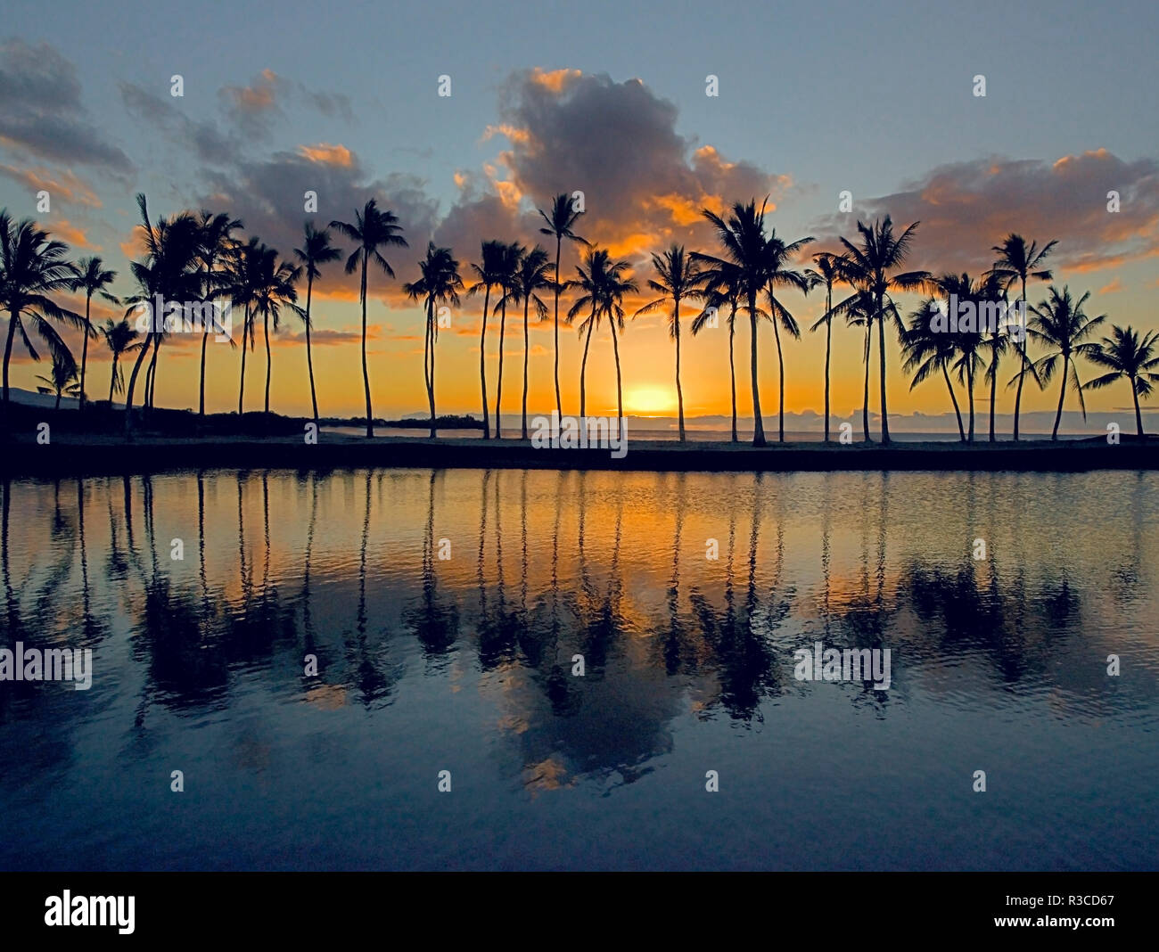 USA, Hawaii, Big Island, Palmen bei Sonnenuntergang Stockfoto