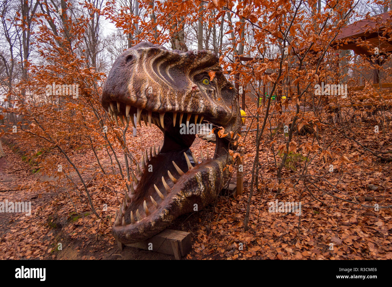 Rasnov, Rumänien - 4. Dezember 2017: Riesige T-Rex Kopf mit Dino Park Rosenau, die nur Dinosaurier Theme Park in Rumänien und die größte ihrer Art im Süden - e Stockfoto