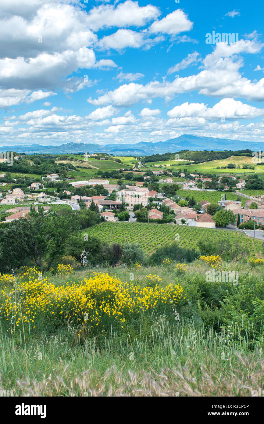 Rhone, Chateauneuf du Pape, Frankreich, Europa Stockfoto