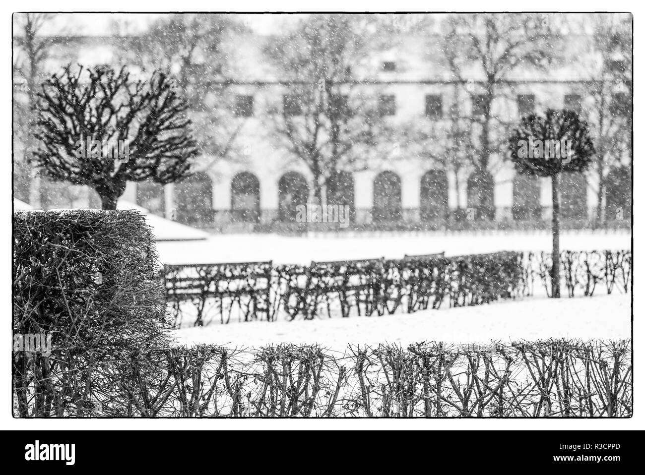 Deutschland, Bayern, München. Hofgarten mit frühen Schnee Stockfoto
