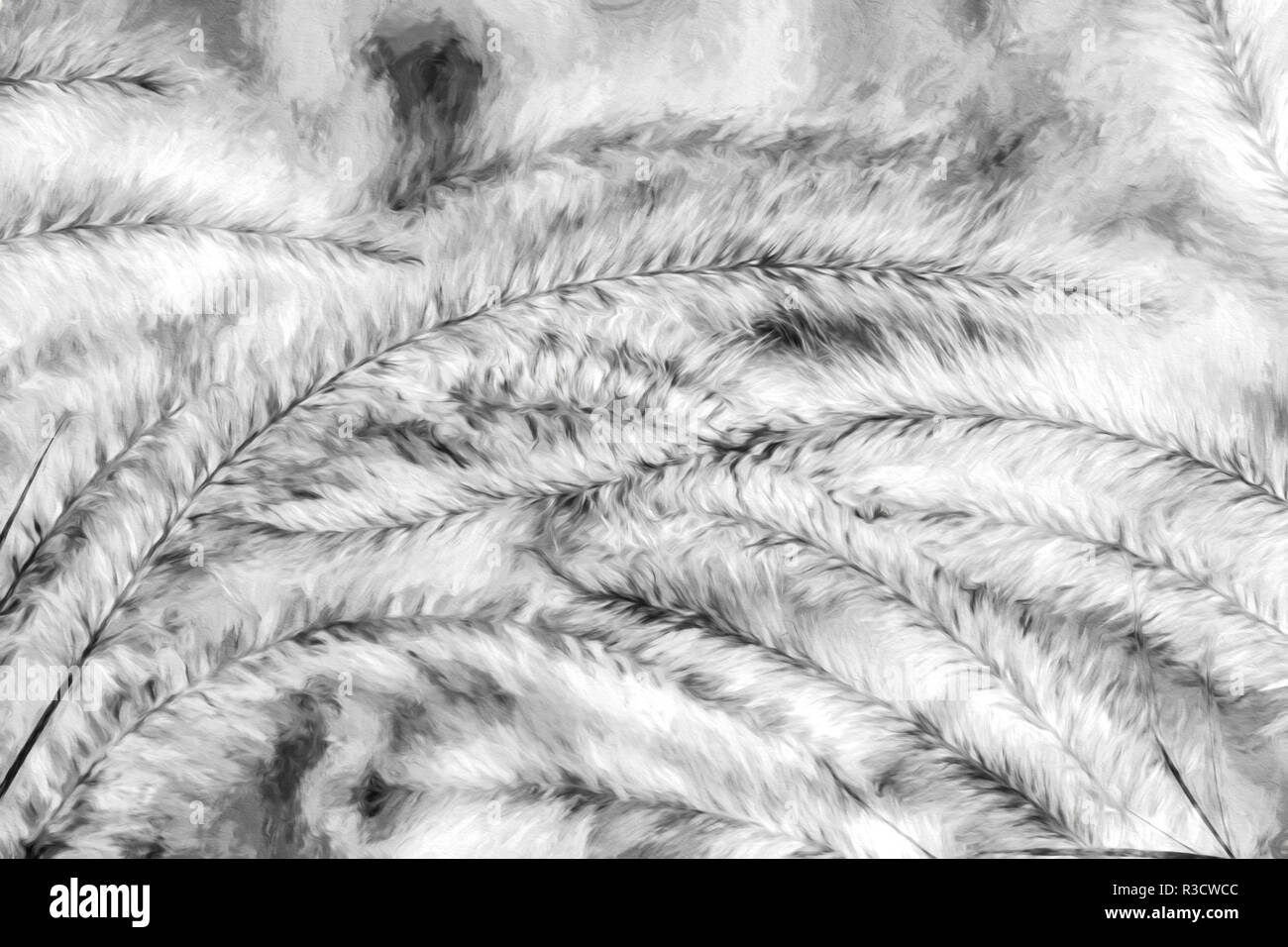 Zierpflanzen foxtail Gräser Malerei, Louisville, Kentucky Stockfoto