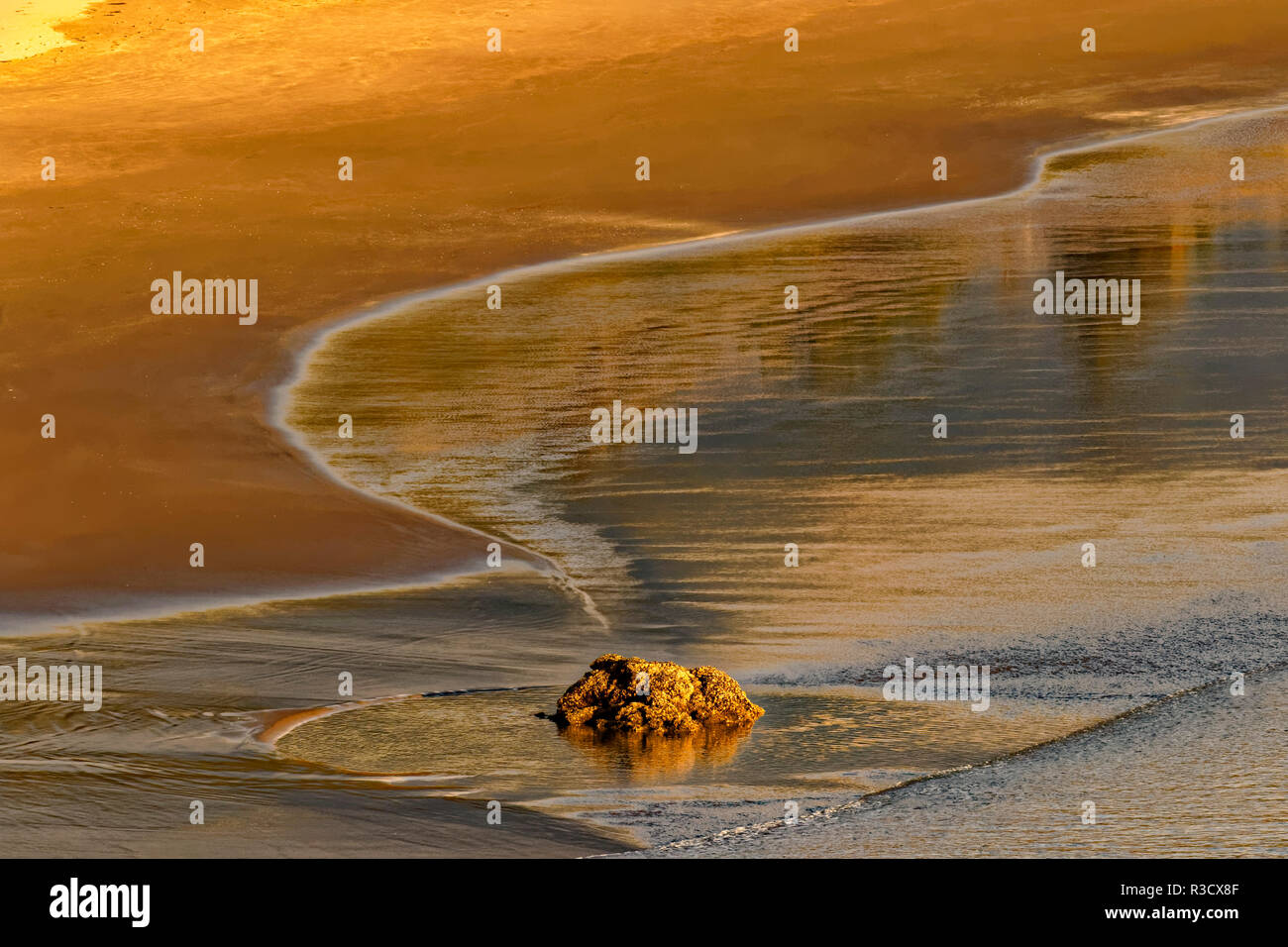 Rock und die Wellen am Strand bei Sonnenuntergang, Ecola State Park, Illinois Stockfoto