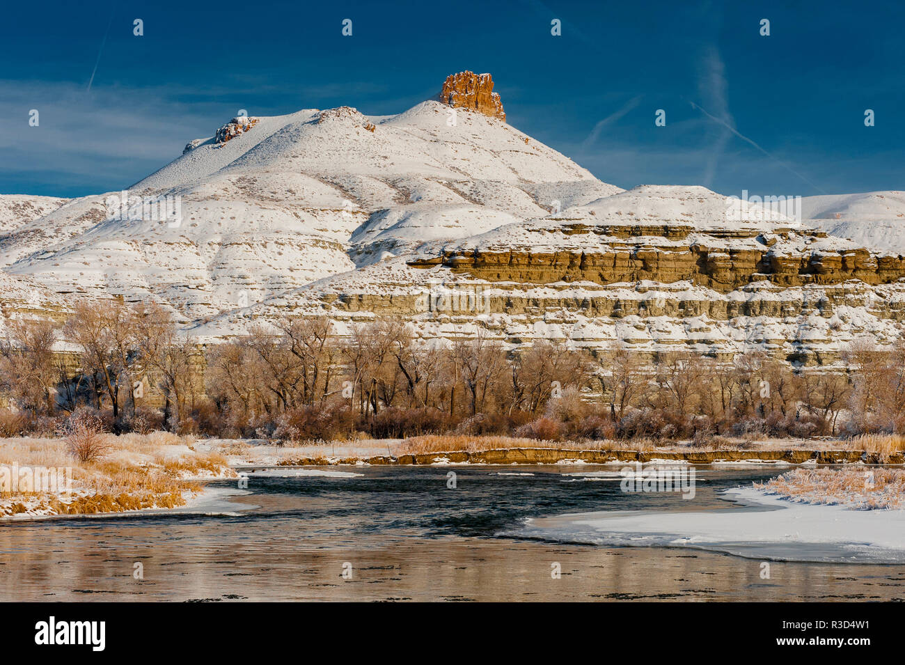 Cottonwood Bäumen und grünen Fluss in einen Wintermantel, Wyoming Stockfoto