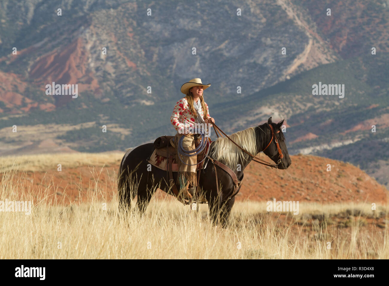 Usa, Wyoming, Shell, das Versteck Ranch, Cowgirl zu Pferd in den Hügeln (MR, PR) Stockfoto