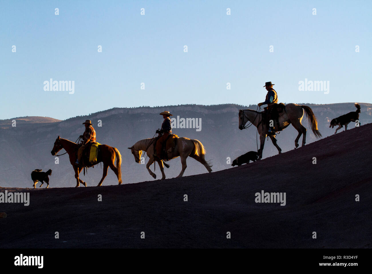Usa, Wyoming, Shell, das Versteck Ranch, Cowboy und Cowgirl zu Pferd auf Ridgeline im Morgenlicht (MR, PR) Stockfoto