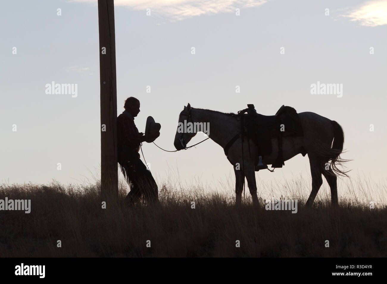 Usa, Wyoming, Shell, das Versteck Ranch, Silhouette von Mensch und Pferd im Sonnenuntergang (MR, PR) Stockfoto
