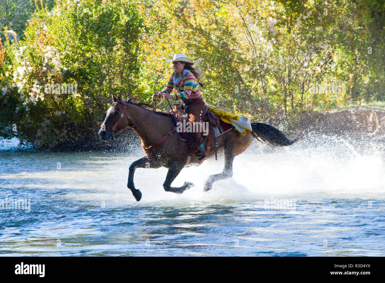 Usa, Wyoming, Shell, das Versteck Ranch, cowgirl Reiten über den Fluss (MR, PR) Stockfoto