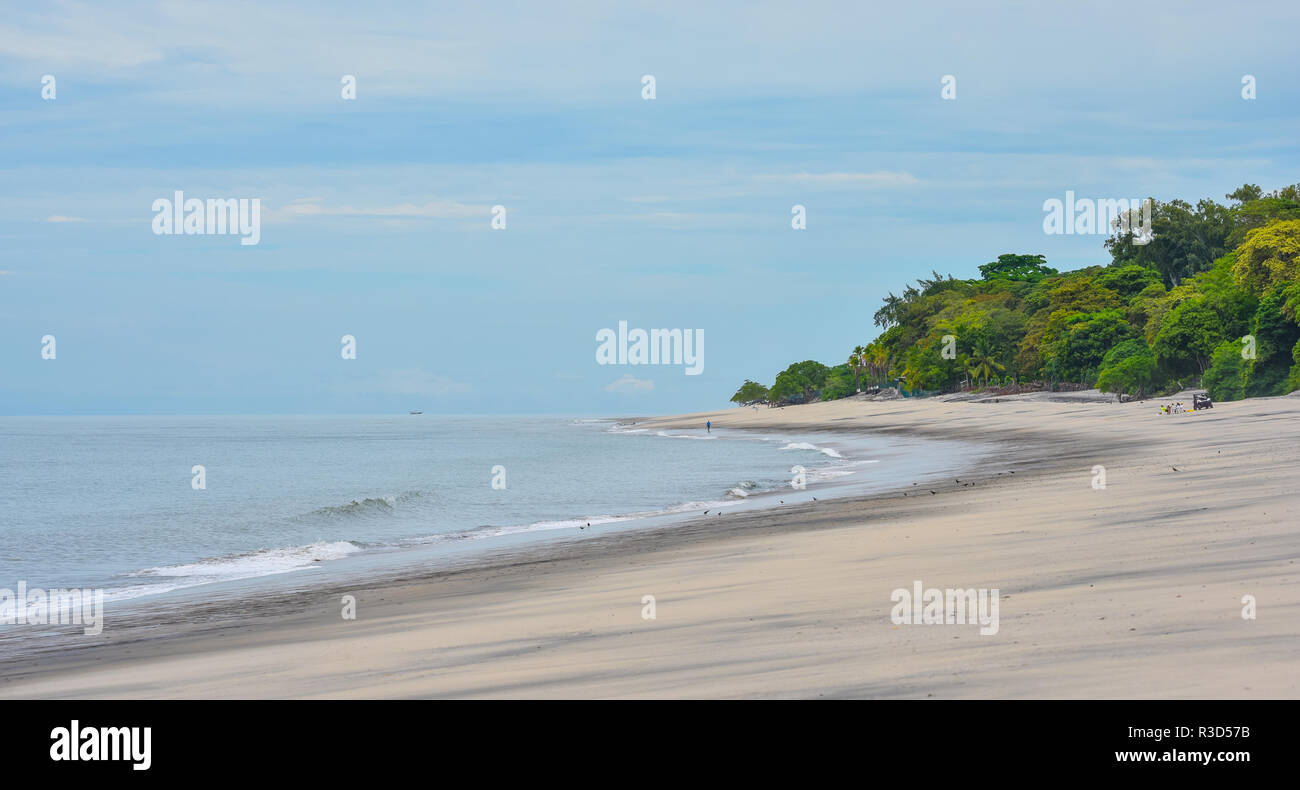 Weit entfernte Menschen & Vögel auf einem Strand in Panama bei Ebbe. Die Leute sitzen rund um einen tragbaren Tisch während zwei andere im Sand laufen. Stockfoto
