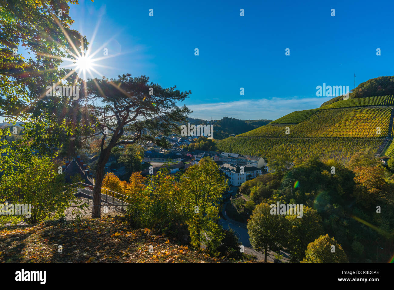 Stadt Saarburg auf Saar, Blick vom Schloss, Naturpark Saar-Hunsrück, von Weinbergen, überwiegend Riesling, Rheinland-Pfalz, Deutschland umgeben Stockfoto