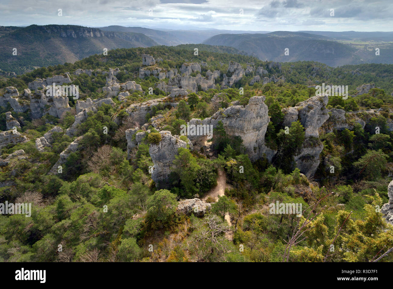 Viadukt von Millau (Südfrankreich): felsenmeer "Chaos de Montpellier-le-Vieux". Blick auf das Felsenmeer und die Landschaft von den Kalkstein p Stockfoto
