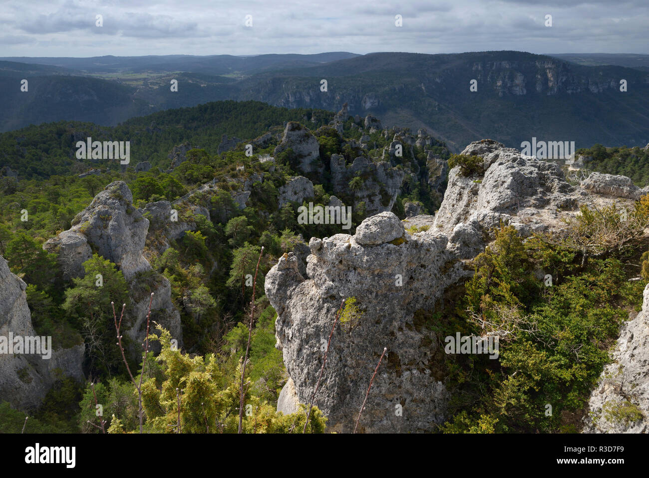 Viadukt von Millau (Südfrankreich): felsenmeer "Chaos de Montpellier-le-Vieux". Blick auf das Felsenmeer und die Landschaft von den Kalkstein p Stockfoto