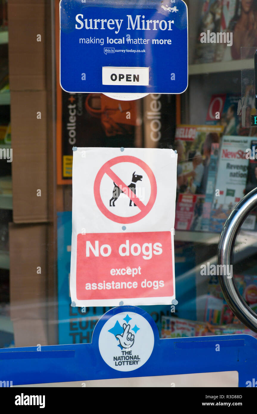 Keine Hunde außer Begleithunde Zeichen auf einem Shop Tür Stockfoto