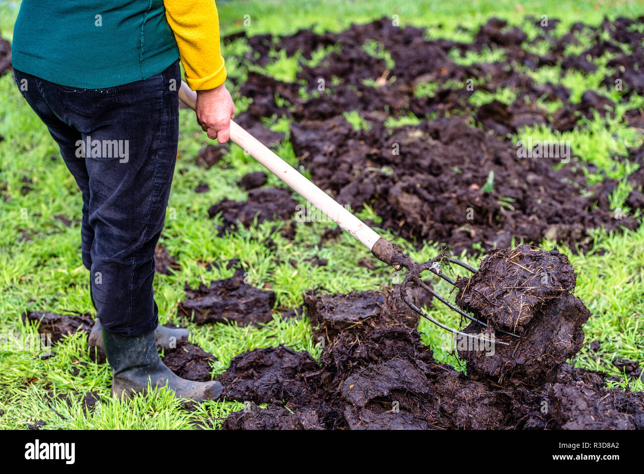 Bauern arbeiten auf der Farm. Organische Dünger für die Düngung des Bodens, Vorbereitung Garten zum Pflanzen im Frühjahr, Bio Landbau Konzept. Stockfoto